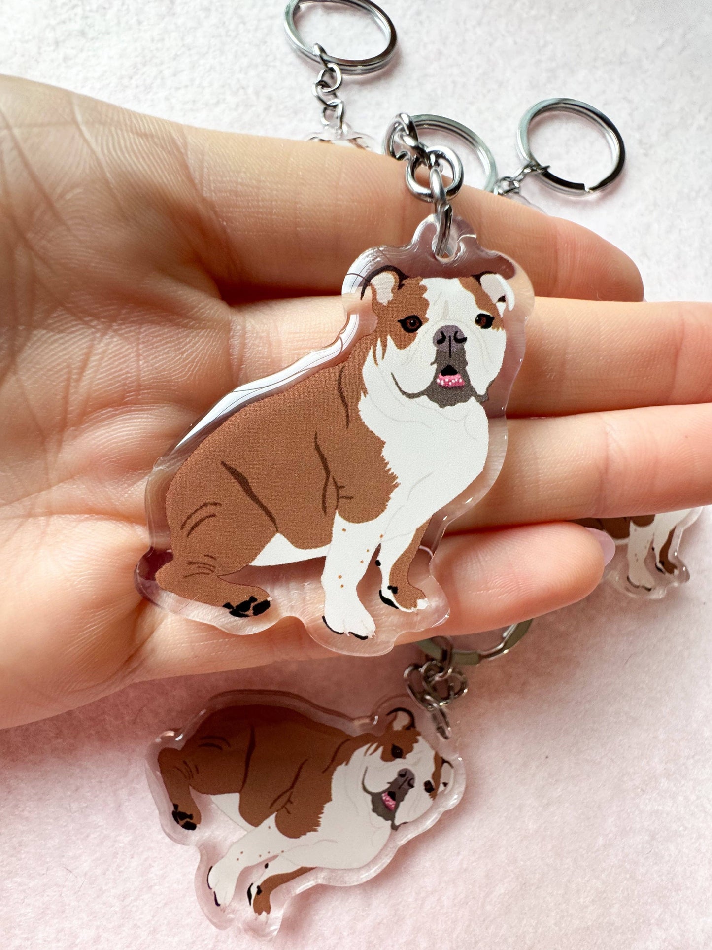 English Bulldog (brown & white) Keychain