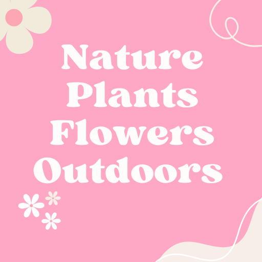 Nature (plants, outdoors, flowers, butterflies)