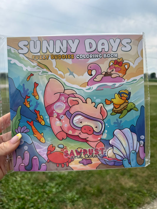Sunny Days Coloring Book