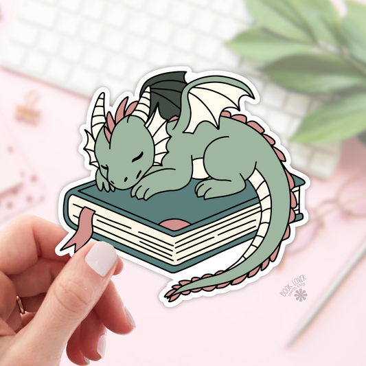 Dragon Book Fantasy Girlie Stickers / Bookish Stickers