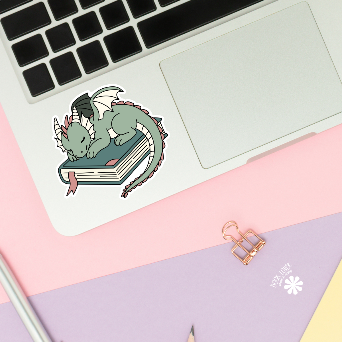 Dragon Book Fantasy Girlie Stickers / Bookish Stickers