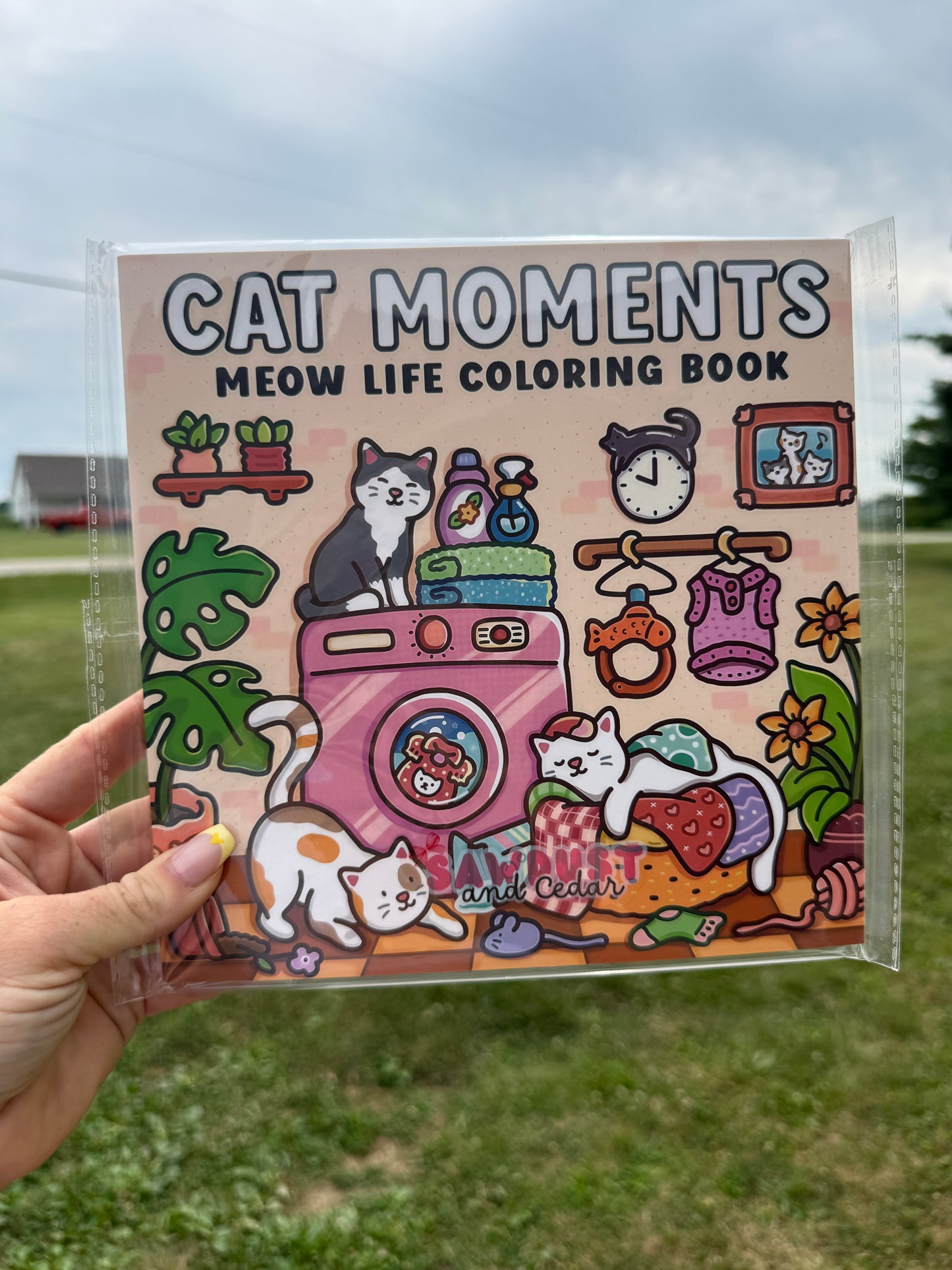 Cat Moments Coloring Book