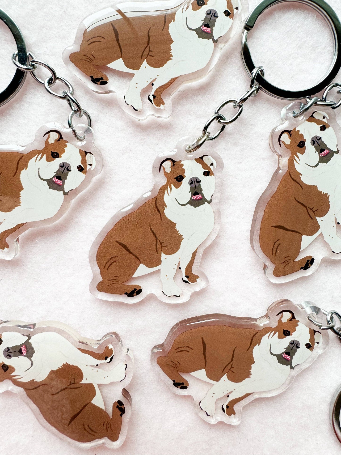 English Bulldog (brown & white) Keychain