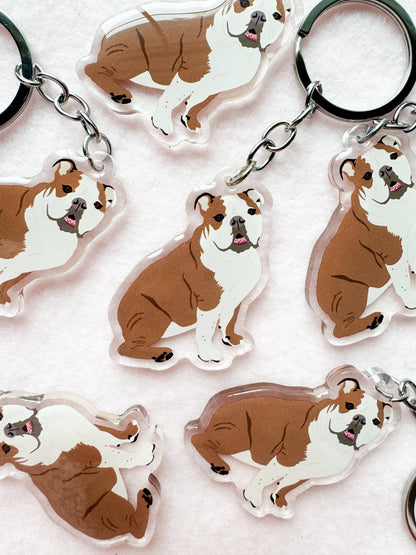 English Bulldog (brown & white) Keychain