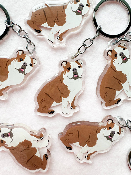 English Bulldog (brown & white) Keychain
