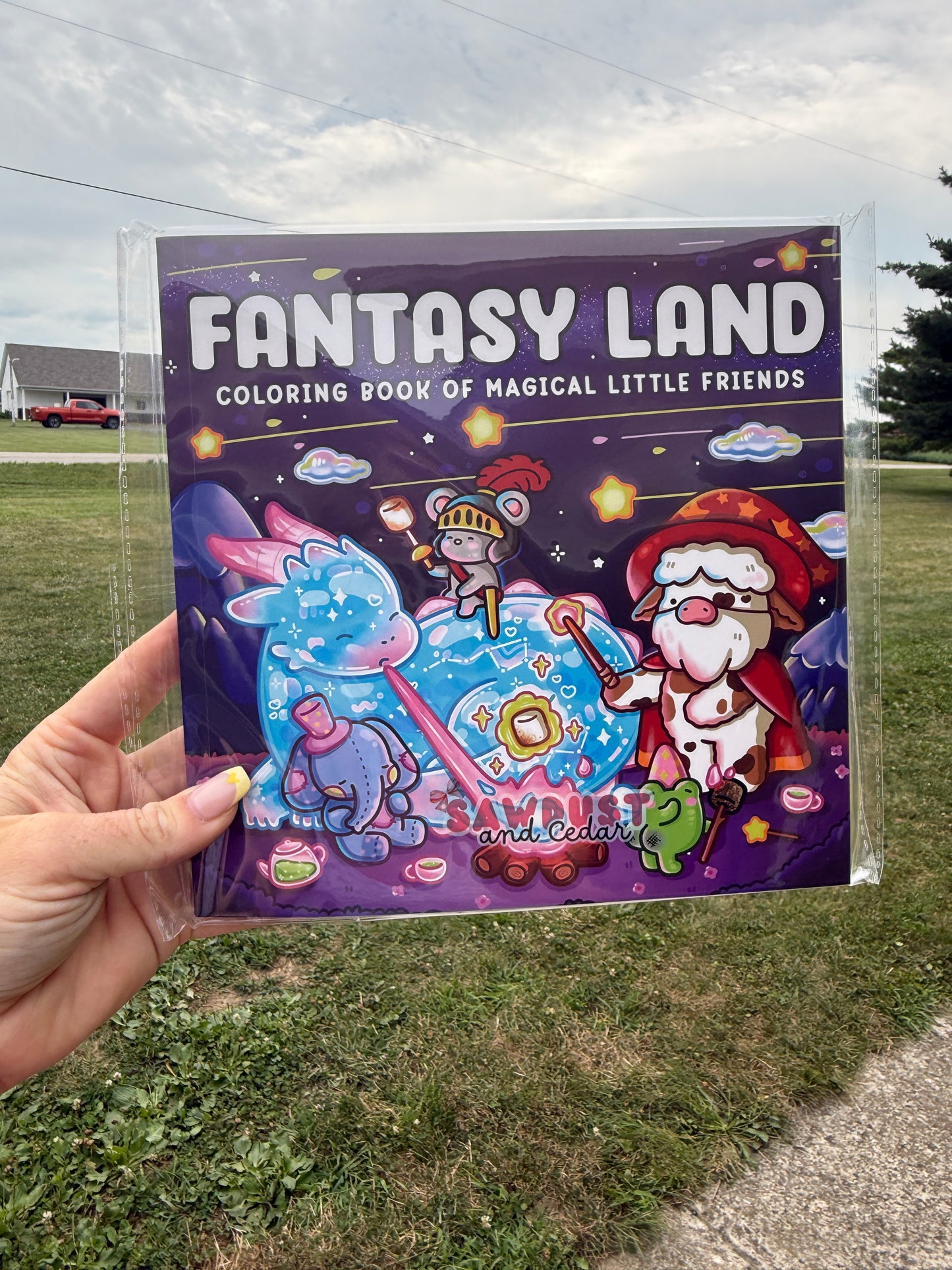 Fantasy Land Coloring Book