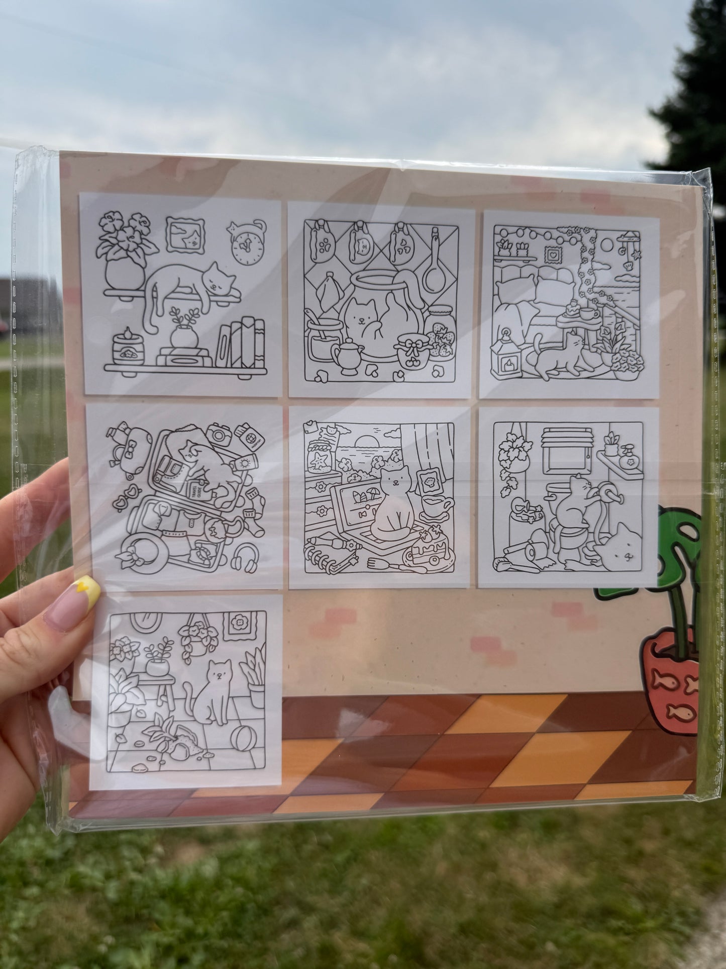 Cat Moments Coloring Book